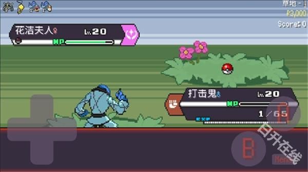 宝可梦肉鸽妖梦