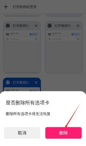 哪吒浏览器升级版
