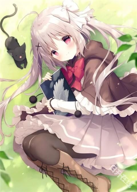 星空列车与白的旅行