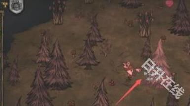 篝火2未知的海岸