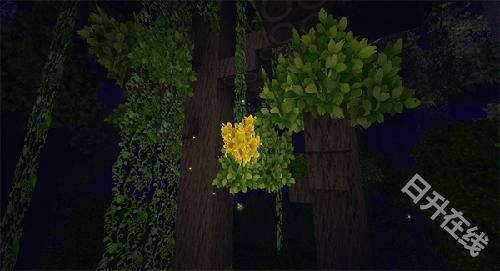 迷你世界雨林版本正版