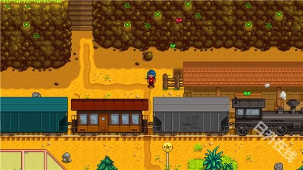 星露谷物语1.6联机版