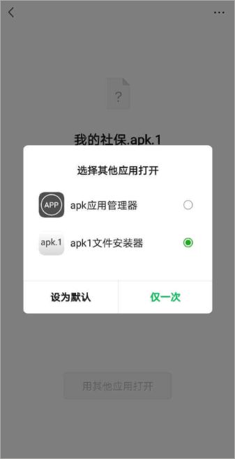 apk1安装器