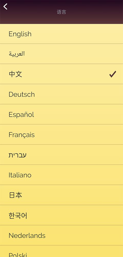 网络天才中文版