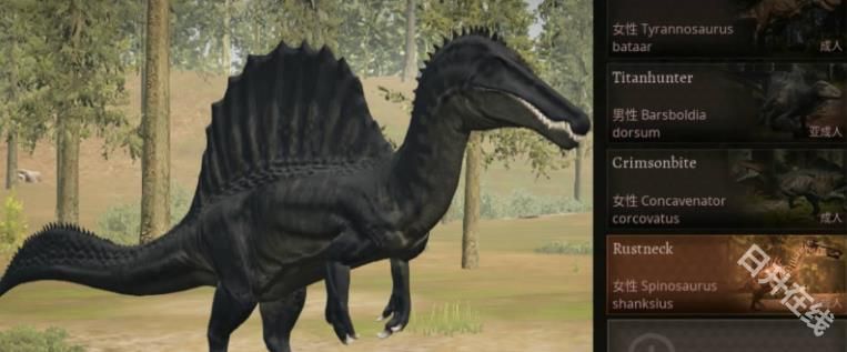 泰坦之路国际服