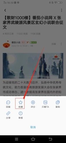 龙的天空怎么收藏帖子4