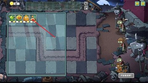 植物大战僵尸universe重制版