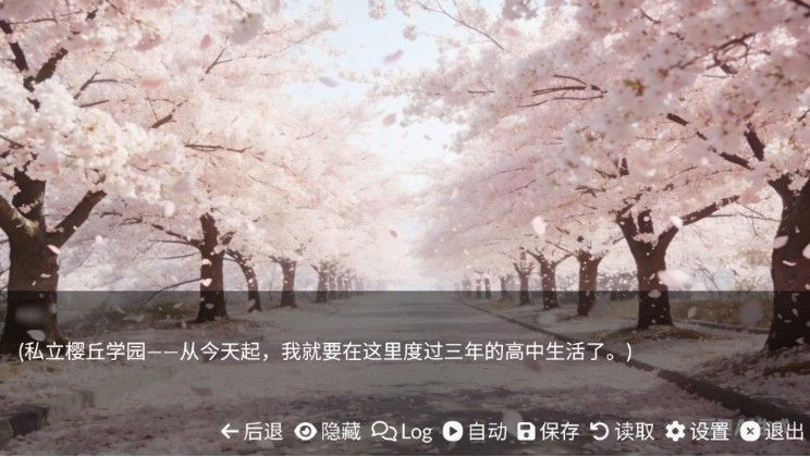 游戏佬的后宫手游