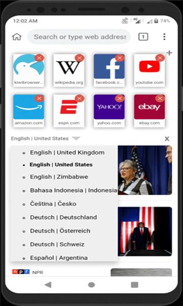 kiwi浏览器手机版