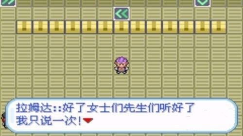 口袋妖怪火箭队汉化版