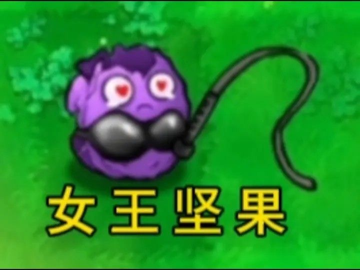 新植物僵尸介绍配图1