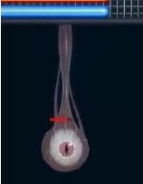 异形探索全解锁版