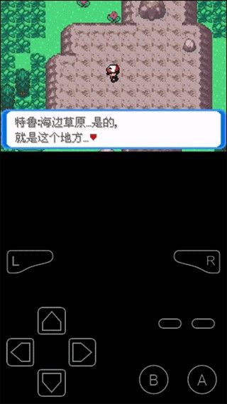 口袋妖怪决心汉化版