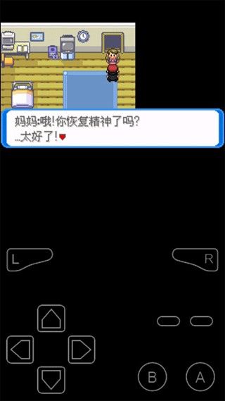 口袋妖怪决心汉化版