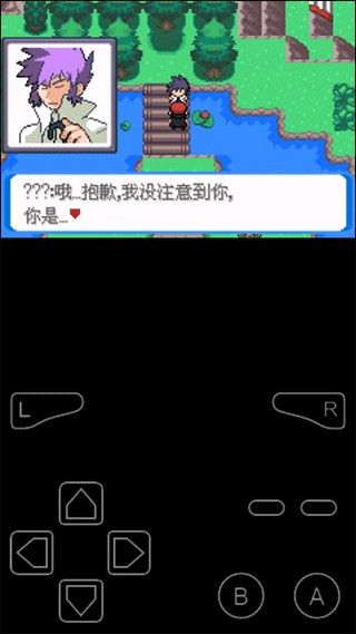 口袋妖怪决心汉化版