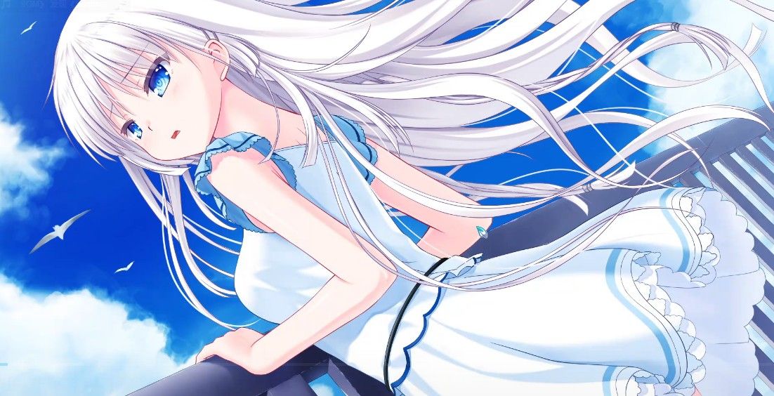 夏日口袋汉化安卓版