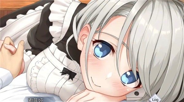 我与索菲亚的秘密手游