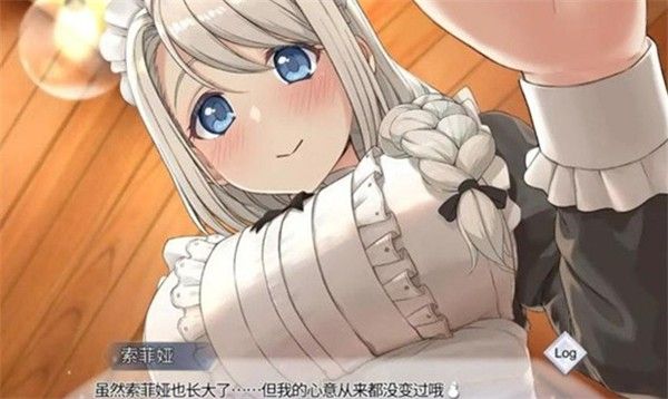 我与索菲亚的秘密手游