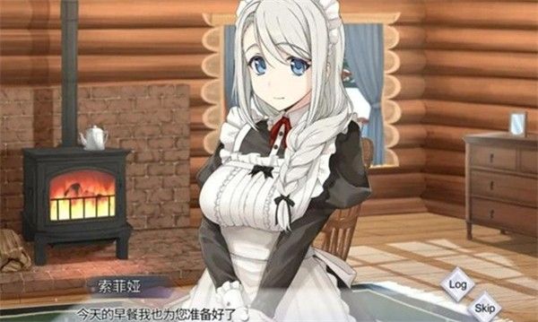 我与索菲亚的秘密手游