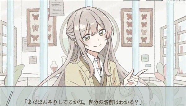 在标本箱中等待羽化