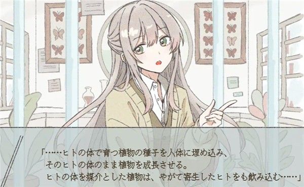 在标本箱中等待羽化