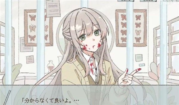 在标本箱中等待羽化