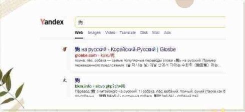 俄罗斯引擎YandeX