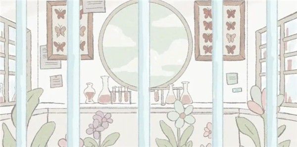 在标本箱中等待羽化