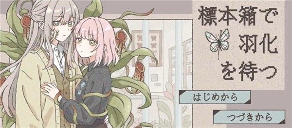 在标本箱中等待羽化