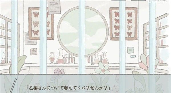 在标本箱中等待羽化