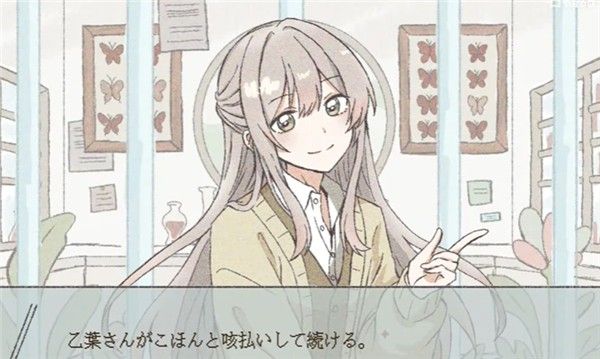 在标本箱中等待羽化