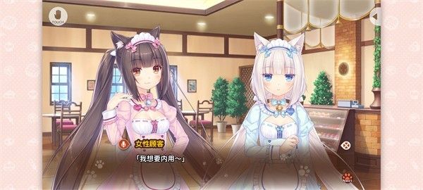 猫娘乐园4手机直装