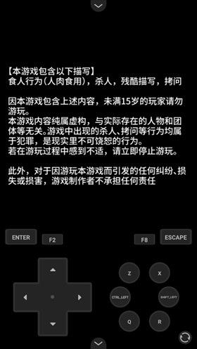 zeno安卓直装版汉化