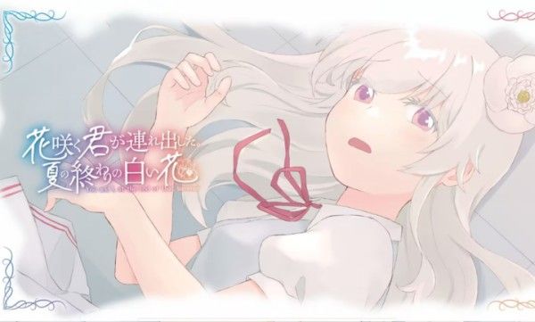 花开之你携我至夏之尽头的白花