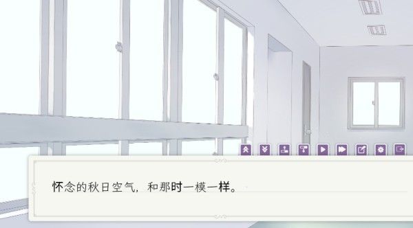 花开之你携我至夏之尽头的白花