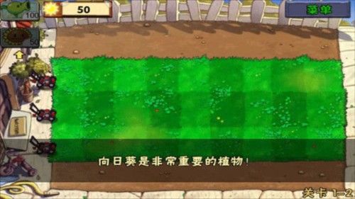 植物大战僵尸仿e支线随机版