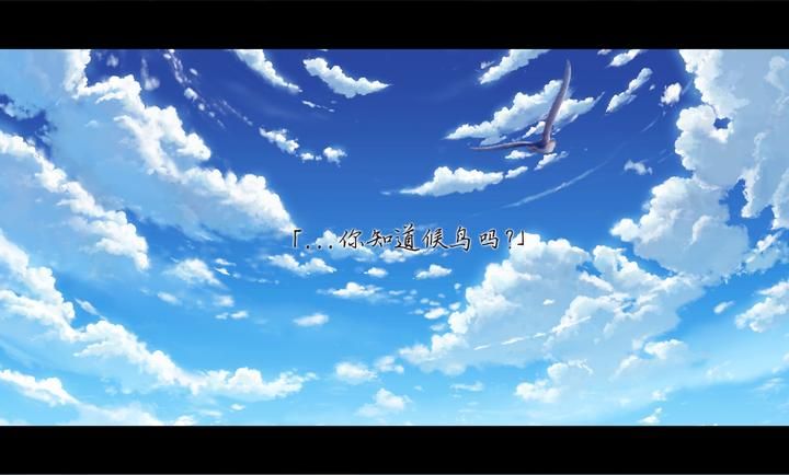 候鸟游戏手机版