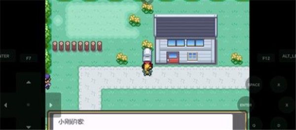 口袋妖怪娘化版