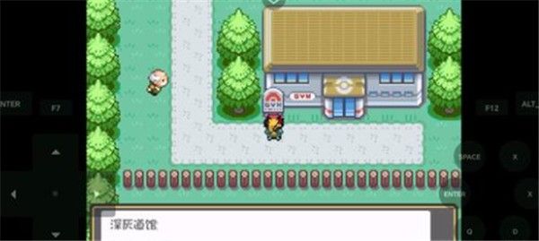 口袋妖怪娘化版