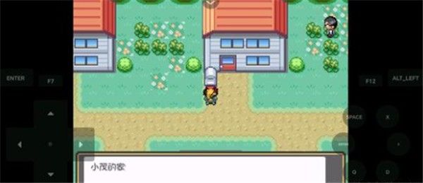 口袋妖怪娘化版