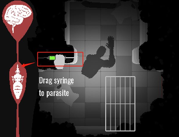 体内寄生虫中文版