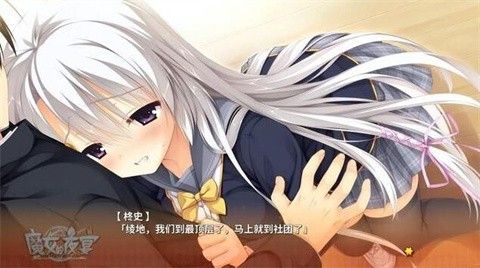 魔女的夜宴冷狐版