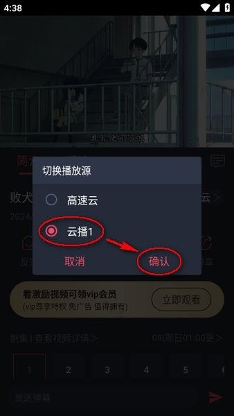 cilcil动漫