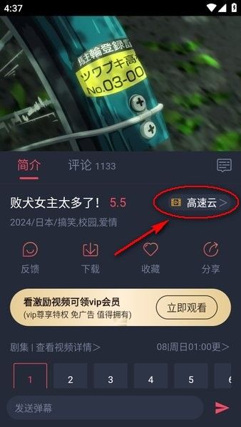 cilcil动漫