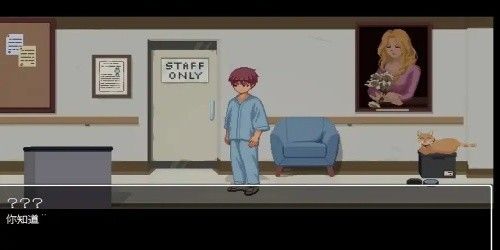 hospitalseduction游戏汉化版