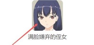 满脸嫌弃的侄女直装冷狐