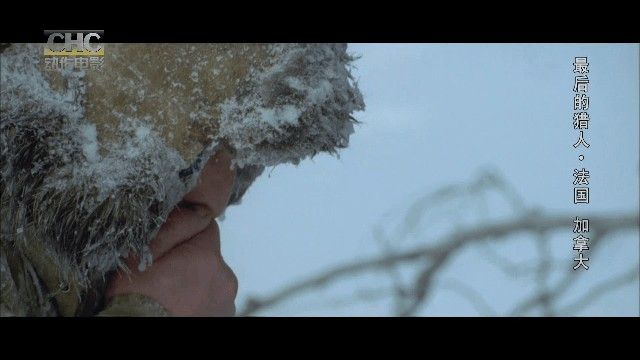 千影TV电视版