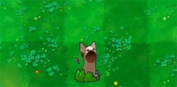 植物大战僵尸哈基米版