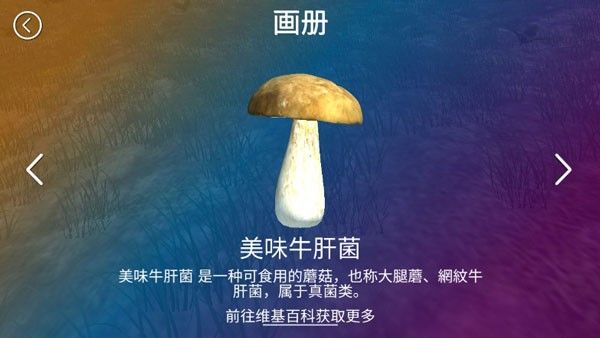 真实采集蘑菇模拟器手机版