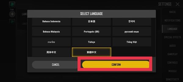 pubgnewstate最新版